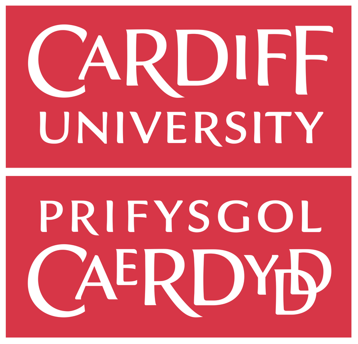 2-Semester Pathway - International Year One in Engineering - Continue to Bachelor of Engineering (Honours) - Electrical and Electronic Engineering (with a Year in Industry) at Cardiff University: Tuition Fee: £18,750.00 GBP / Year (Scholarship Available)