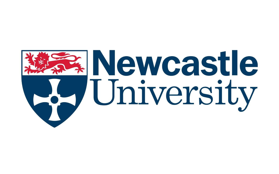 3-Term Pathway Program - International Year One - Business - Transfer to Bachelor of Science (Honours) - Marketing and Management at Newcastle University: Tuition Fee: £18,995.00 GBP / Year (Scholarship Available)