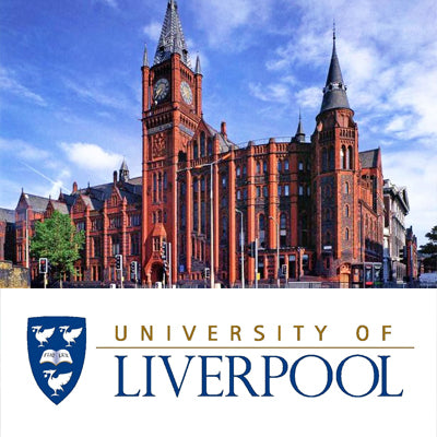 Master of Science - Business Analytics and Big Data at University of Liverpool: Tuition: £17,850.00 GBP/year (Scholarship Available)