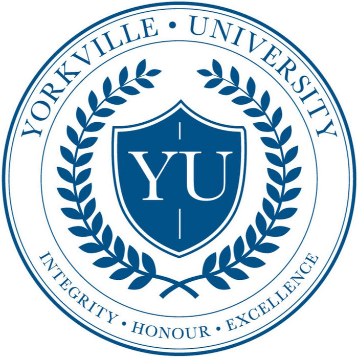 Dual Program - College Diploma - Video Game Design and Development & Bachelor of Creative Arts (BCA) at Yorkville University - Toronto: Tuition: $23,784.00 CAD / Year (Scholarship Available)